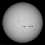 White light image of sun showing many sunspots