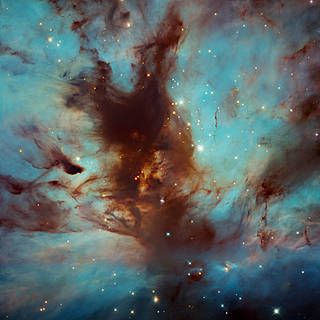 Hubble space telescope image of stars in cluster NGC 2024