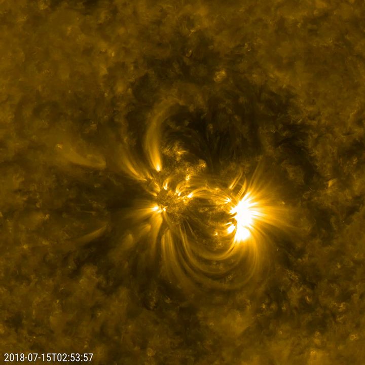 SDO image of solar loops