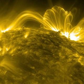 Coronal loops on the Sun 