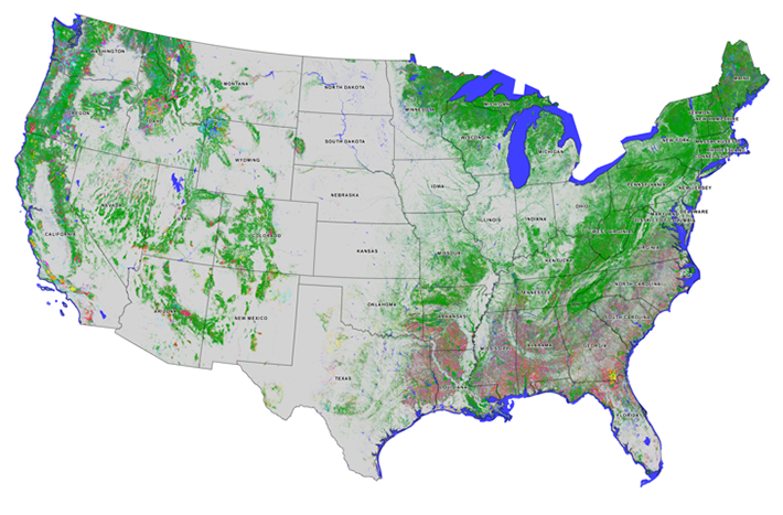 Map of US forests color coded by year of disturbance.