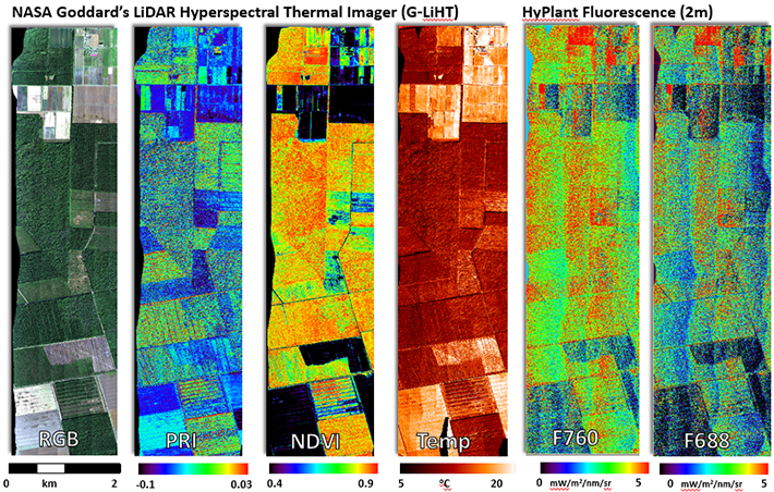 Airborne Remote Sensing Estimates of Photosynthetic Variables from Parker Tract, North Carolina