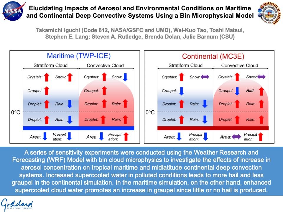 Elucidating Impacts of Aerosol and Environmental Conditions on Maritime and Continental Deep Convective Systems Using a Bin Microphysical Model

