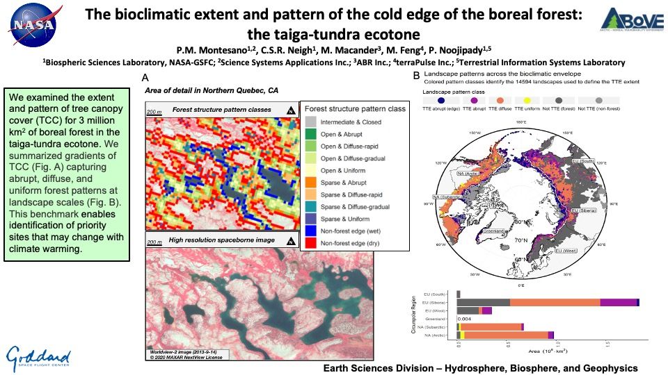 The bioclimatic extent and pattern of the cold edge of the boreal forest: the taiga-tundra ecotone
