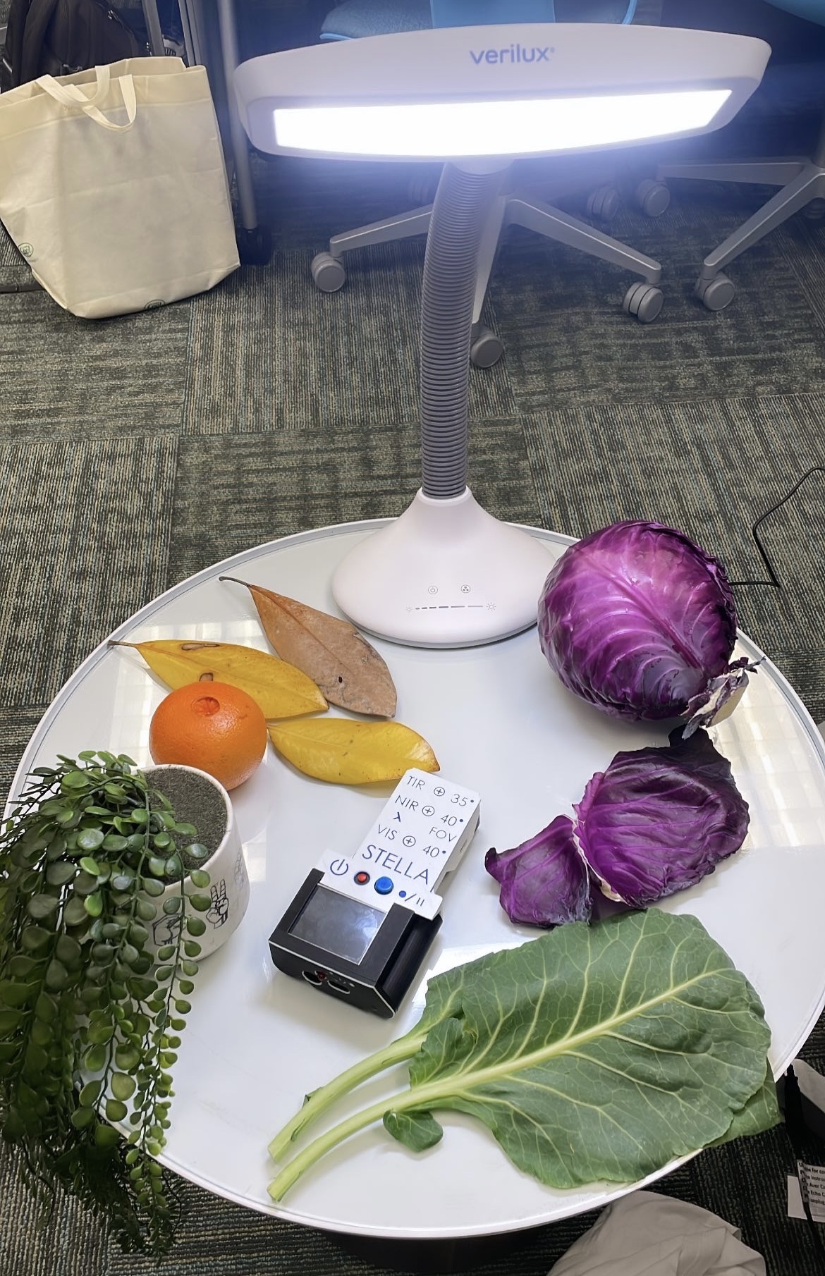vegetables on a table under a full spectrum lamp