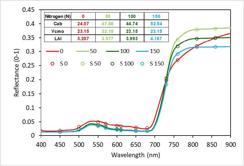 Crop Canopy Reflectance Convolved to STELLA