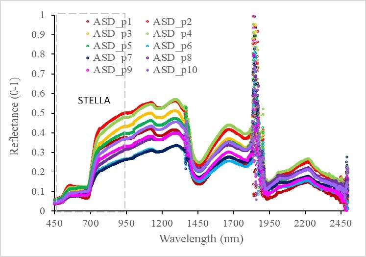 Grass ASD reflectance measurements