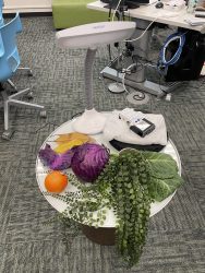 IMG_0627-2000×2667 Vegetables under a full spectrum light with a STELLA hanheld spectrometer